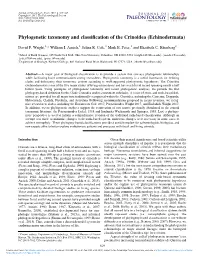 Phylogenetic Taxonomy and Classification of the Crinoidea (Echinodermata)