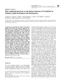 Rbpj Conditional Knockout Reveals Distinct Functions of Notch4/Int3 in Mammary Gland Development and Tumorigenesis