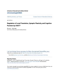 Regulation of Local Translation, Synaptic Plasticity, and Cognitive Function by CNOT7