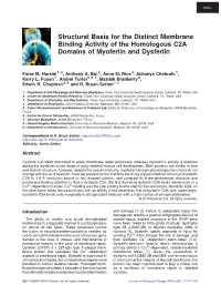 Structural Basis for the Distinct Membrane Binding Activity of the Homologous C2A Domains of Myoferlin and Dysferlin