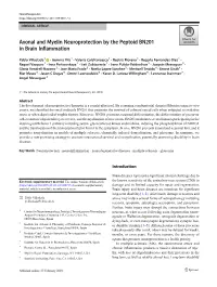 Axonal and Myelin Neuroprotection by the Peptoid BN201 in Brain Inflammation