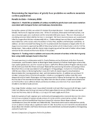Determining the Importance of Grizzly Bear Predation on Southern