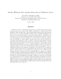 Introner Elements Drive Ongoing Intron Gain in Oikopleura Dioica