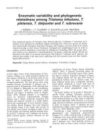 Platensis, T Delpontei and T Rubrovaria