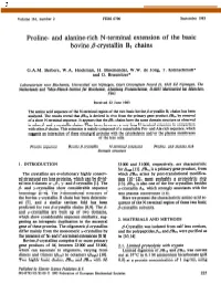 Proline- and Alanine-Rich N-Terminal Extension of the Basic Bovine P-Crystallin B1 Chains
