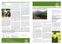 Spring 2013 the Newsletter for Buxton Civic Association Issue 24