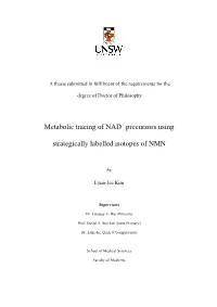 Metabolic Tracing of NAD Precursors Using Strategically Labelled Isotopes of NMN