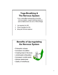 Month 4 Breathing & Nervous System