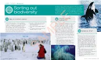 Sorting out Biodiversity Chapter 2 • Sorting out Biodiversity 45 Early Classification Methods