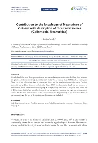 Contribution to the Knowledge of Neanurinae of Vietnam with Description of Three New Species (Collembola, Neanuridae)