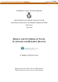 Design and Synthesis of Novel Scaffolds and Building Blocks