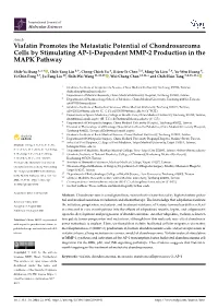 Visfatin Promotes the Metastatic Potential of Chondrosarcoma Cells by Stimulating AP-1-Dependent MMP-2 Production in the MAPK Pathway