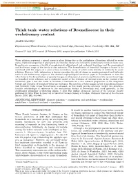 Water Relations of Bromeliaceae in Their Evolutionary Context