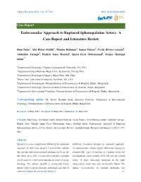 Endovascular Approach to Ruptured Sphenopalatine Artery: a Case Report and Literature Review
