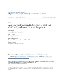 Mapping the Functional Interaction of Sco1 and Cox2 in Cytochrome Oxidase Biogenesis Kevin Rigby University of Utah Health Sciences Center