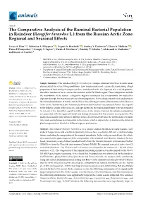 The Comparative Analysis of the Ruminal Bacterial Population in Reindeer (Rangifer Tarandus L.) from the Russian Arctic Zone: Regional and Seasonal Effects