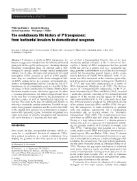 The Evolutionary Life History of P Transposons: from Horizontal Invaders to Domesticated Neogenes