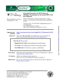 Development Multiple Checkpoints in Invariant NKT Cell Essential