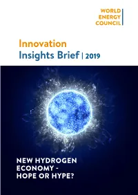 Innovation Insights Brief 2019