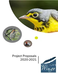 Project Proposals 2020-2021