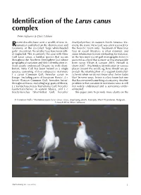 Identification of the Larus Canus Complex