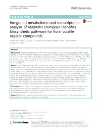 Integrated Metabolome and Transcriptome Analysis of Magnolia