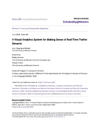 A Visual Analytics System for Making Sense of Real-Time Twitter Streams
