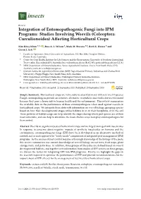 Integration of Entomopathogenic Fungi Into IPM Programs: Studies Involving Weevils (Coleoptera: Curculionoidea) Aﬀecting Horticultural Crops