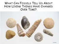 What Can Fossils Tell Us About How Living Things Have Changed Over Time?