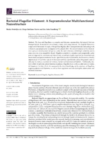 Bacterial Flagellar Filament: a Supramolecular Multifunctional Nanostructure