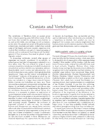Craniata and Vertebrata
