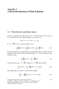 A Brief Introduction to Weak Solutions