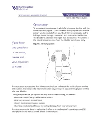 Cystoscopy to Understand a Cystoscopy, It Is Helpful to Become Familiar with the Urinary System (Figure 1)