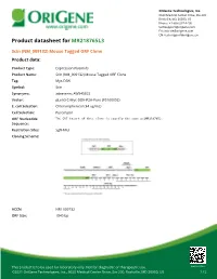 Scin (NM 009132) Mouse Tagged ORF Clone Product Data