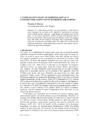 A Comparative Study of Morphologically Constructed Agent Nouns in French and Yoruba