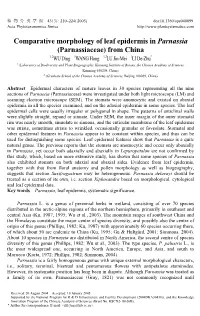 Comparative Morphology of Leaf Epidermis in Parnassia