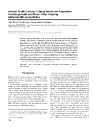 Human Tooth Culture: a Study Model for Reparative Dentinogenesis and Direct Pulp Capping Materials Biocompatibility
