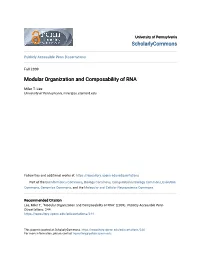 Modular Organization and Composability of RNA