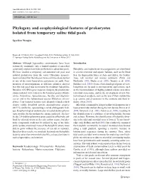 Phylogeny and Ecophysiological Features of Prokaryotes Isolated from Temporary Saline Tidal Pools