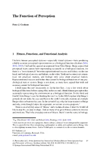 The Function of Perception