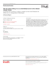 The Tip of the Iceberg: Ice As a Non-Human Actor in the Climate Change Debate