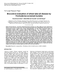 Biocontrol Evaluation of Wheat Take-All Disease by Trichoderma Screened Isolates