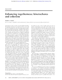 Enhancing Togetherness: Kinetochores and Cohesion
