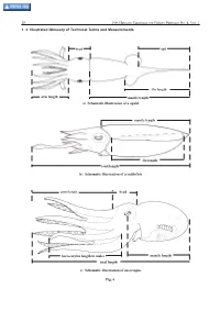 1.4 Illustrated Glossary of Technical Terms and Measurements