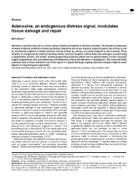Adenosine, an Endogenous Distress Signal, Modulates Tissue Damage and Repair