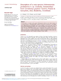 Description of a New Species Fuhrmannetta Jurubatensis N. Sp