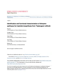 Identification and Functional Characterization of Diterpene Synthases for Triptolide Biosynthesis from Tripterygium Wilfordii