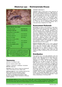 Mastomys Spp. – Multimammate Mouse