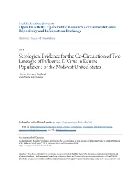 Serological Evidence for the Co-Circulation of Two Lineages Of