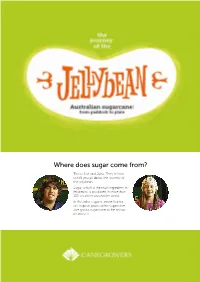 Where Does Sugar Come From?